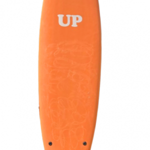 planche évolutive UP 6'6 location ferret