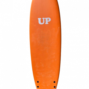 planche évolutive UP 6'6 location ferret